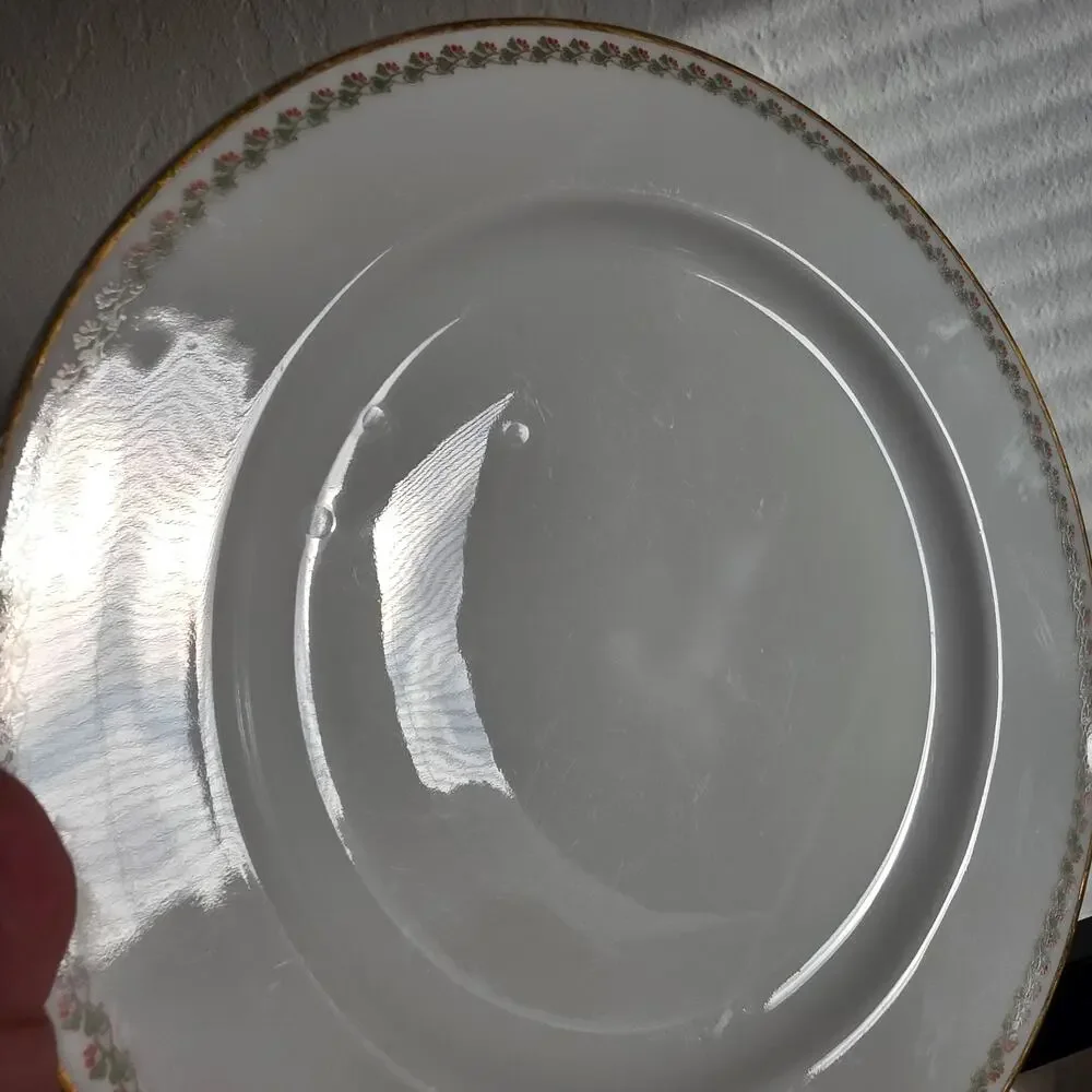 Haviland Limoges France Floral Gold Rim Dinner Plates Lot of 6 10
